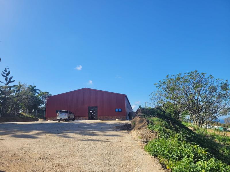 To Let commercial Property for Rent in Izotsha KwaZulu-Natal