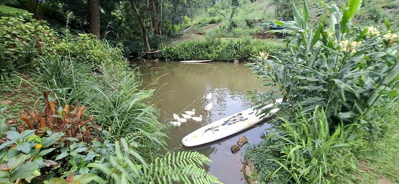 3 Bedroom Property for Sale in Boughton KwaZulu-Natal