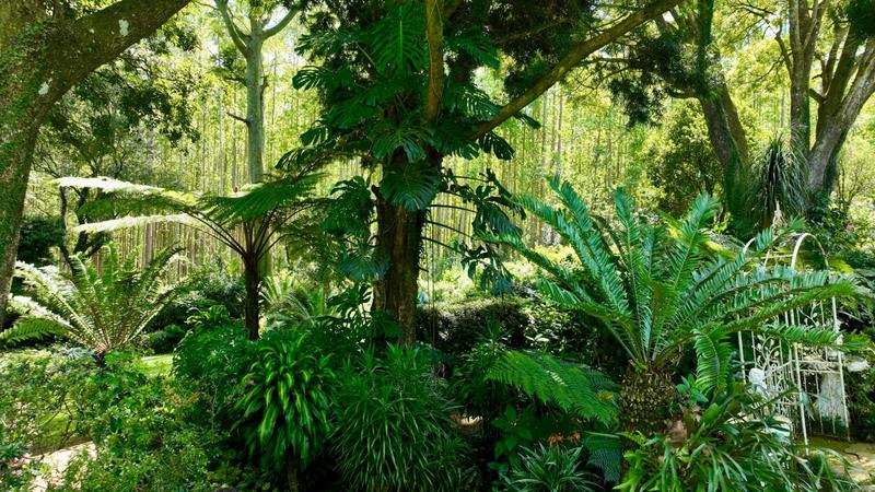 3 Bedroom Property for Sale in Boughton KwaZulu-Natal