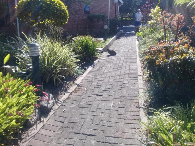 2 Bedroom Property for Sale in Margate KwaZulu-Natal