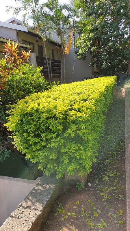 3 Bedroom Property for Sale in Umgeni Park KwaZulu-Natal