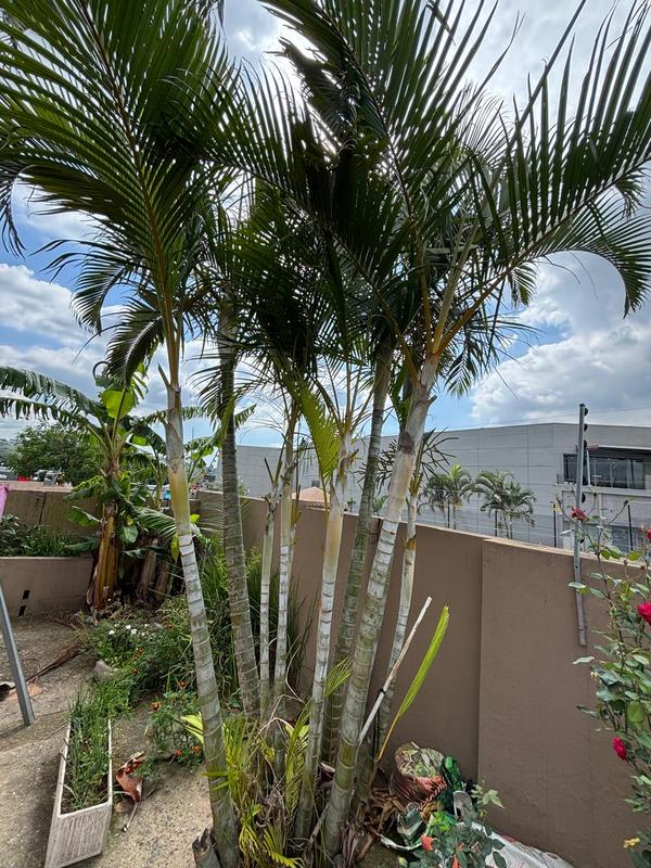 3 Bedroom Property for Sale in Reservoir Hills KwaZulu-Natal