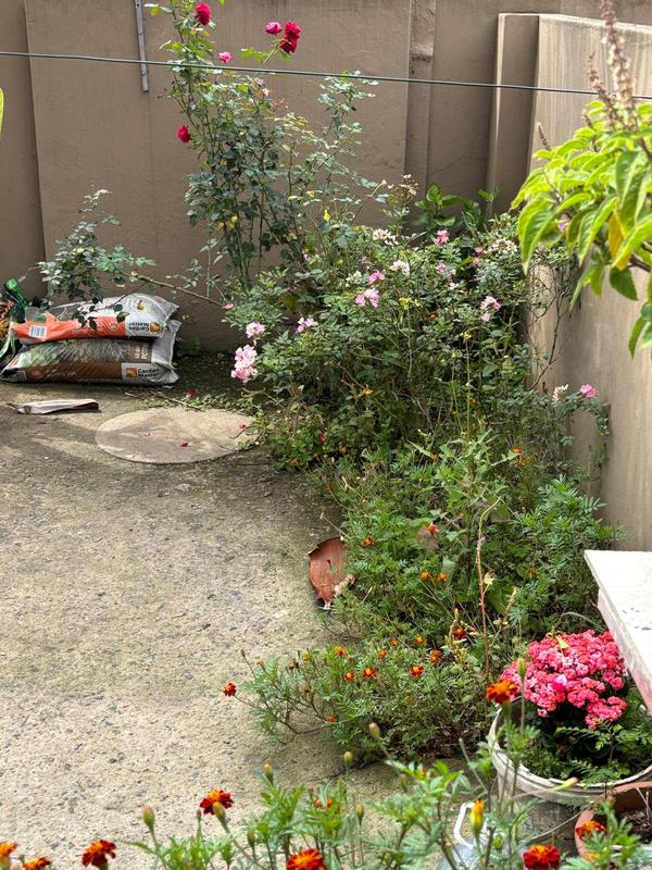 3 Bedroom Property for Sale in Reservoir Hills KwaZulu-Natal