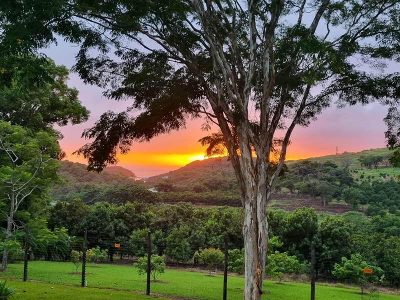 18 Bedroom Property for Sale in Leisure Bay KwaZulu-Natal