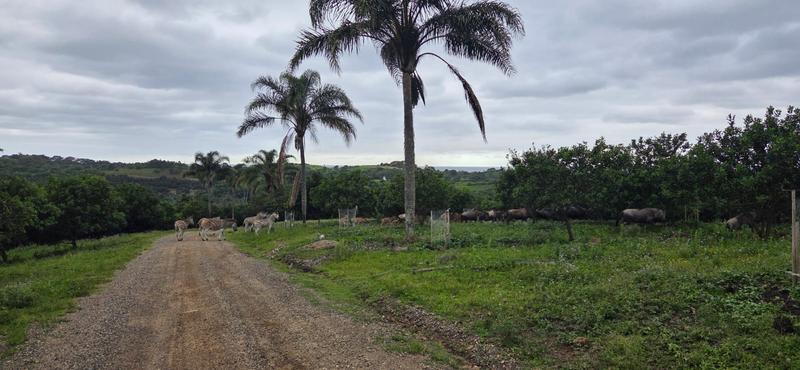 18 Bedroom Property for Sale in Leisure Bay KwaZulu-Natal