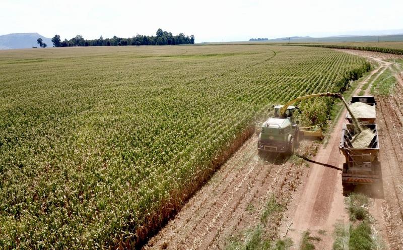 0 Bedroom Property for Sale in Newcastle Rural KwaZulu-Natal