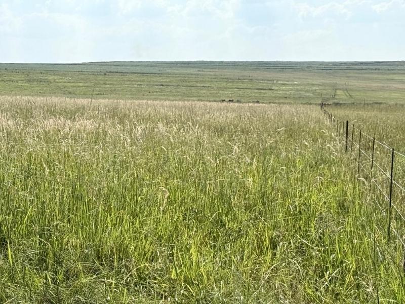 0 Bedroom Property for Sale in Newcastle Rural KwaZulu-Natal