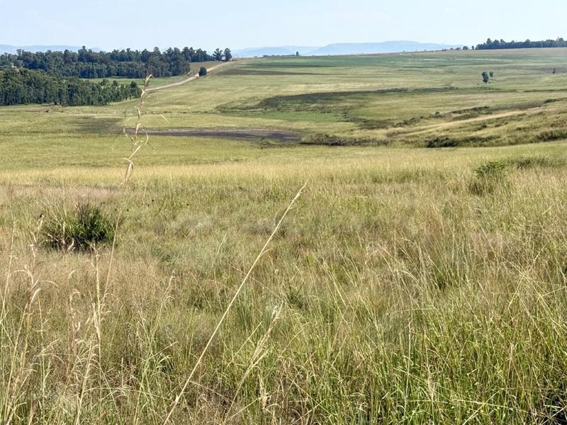 0 Bedroom Property for Sale in Newcastle Rural KwaZulu-Natal