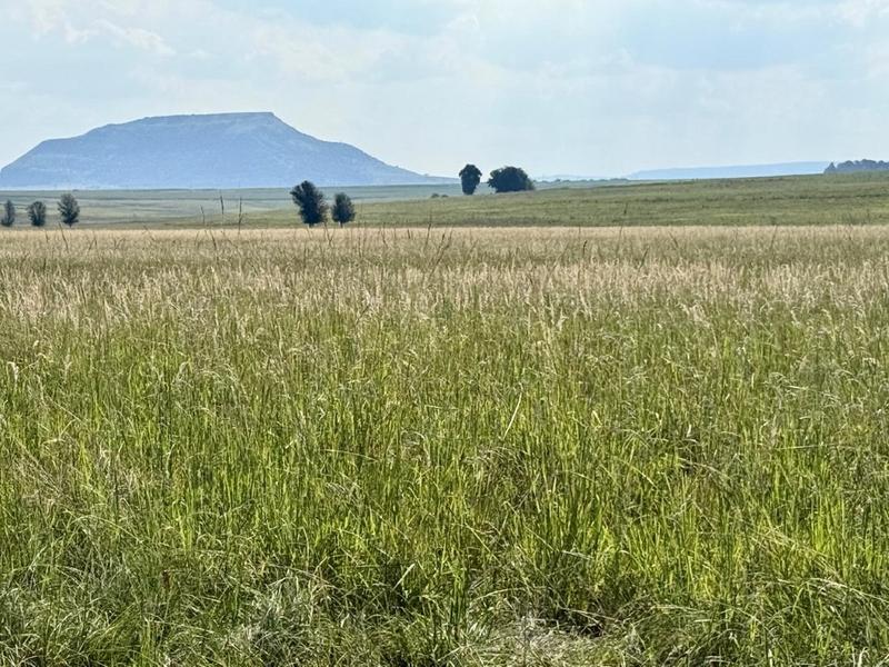 0 Bedroom Property for Sale in Newcastle Rural KwaZulu-Natal