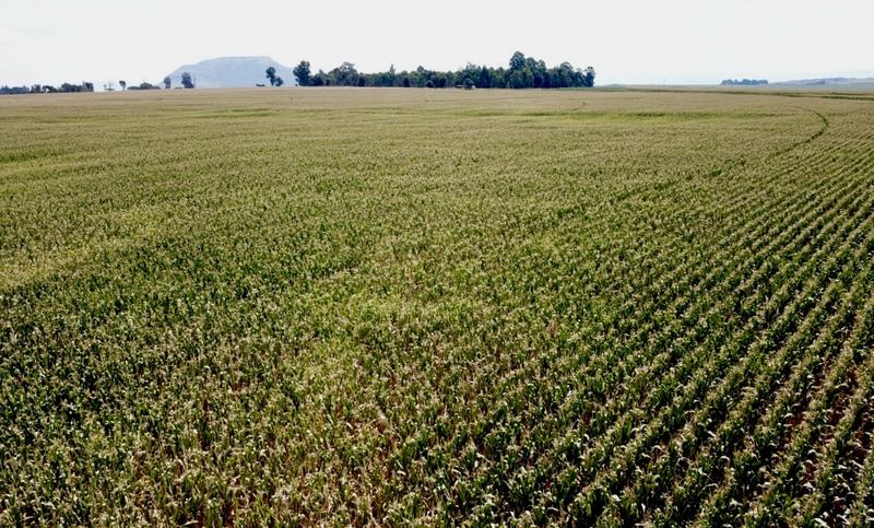 0 Bedroom Property for Sale in Newcastle Rural KwaZulu-Natal