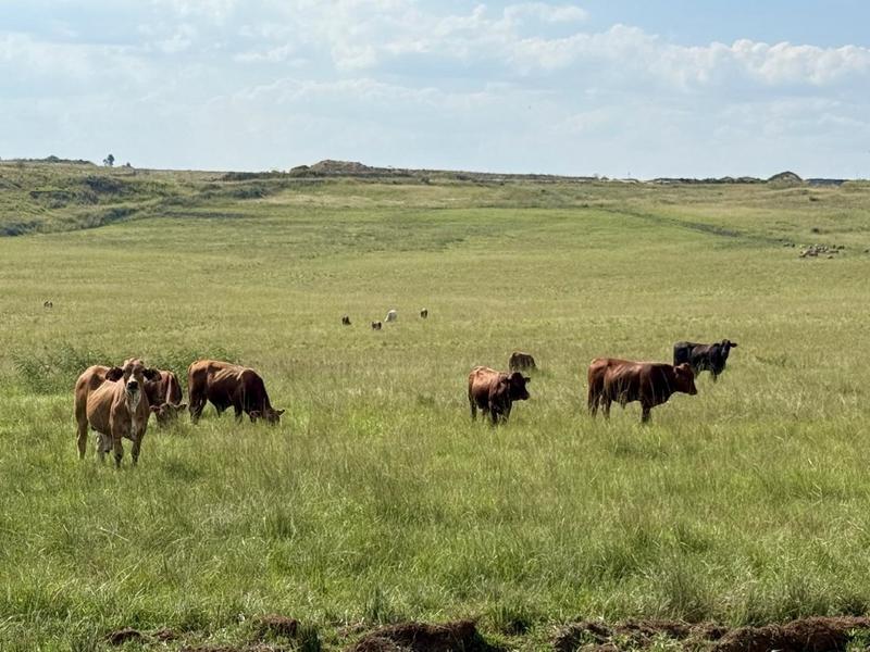 0 Bedroom Property for Sale in Newcastle Rural KwaZulu-Natal