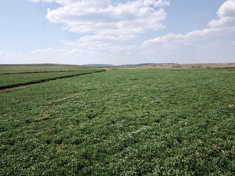 0 Bedroom Property for Sale in Newcastle Rural KwaZulu-Natal