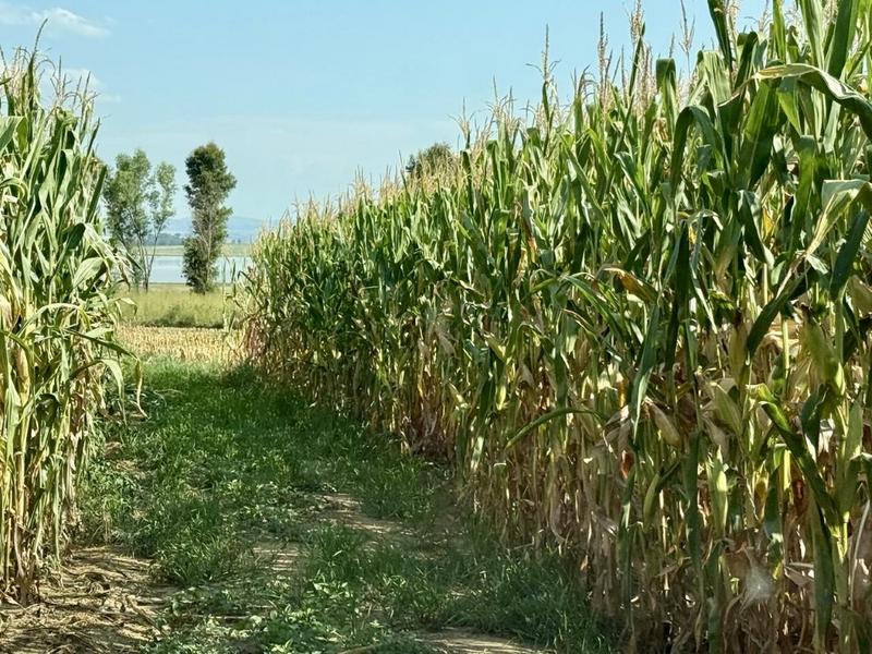 0 Bedroom Property for Sale in Newcastle Rural KwaZulu-Natal