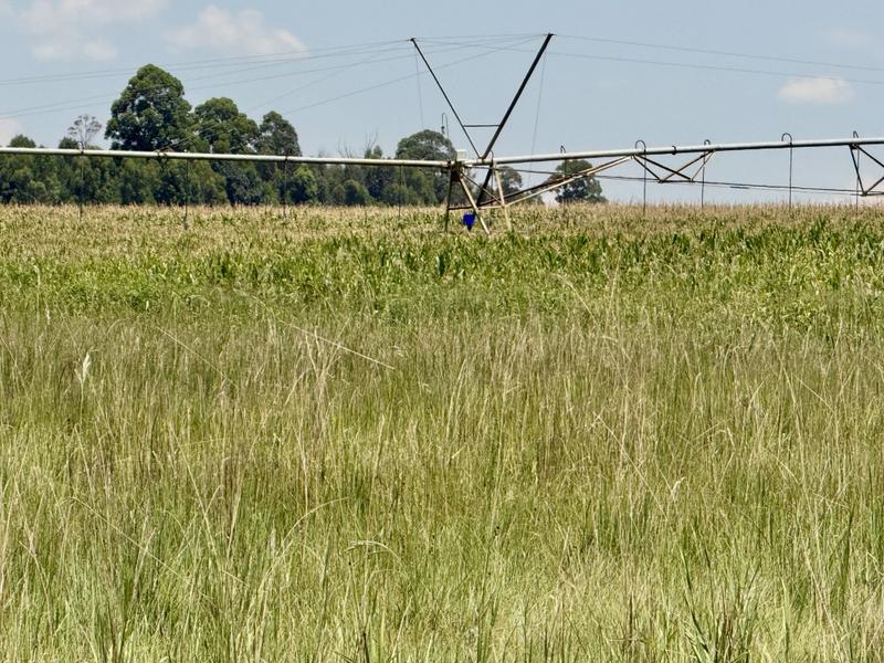 0 Bedroom Property for Sale in Newcastle Rural KwaZulu-Natal