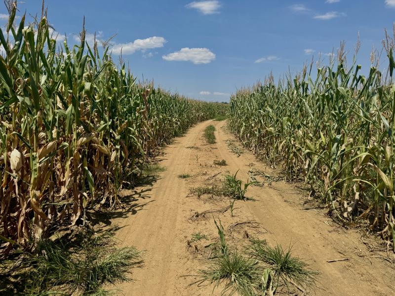 0 Bedroom Property for Sale in Newcastle Rural KwaZulu-Natal