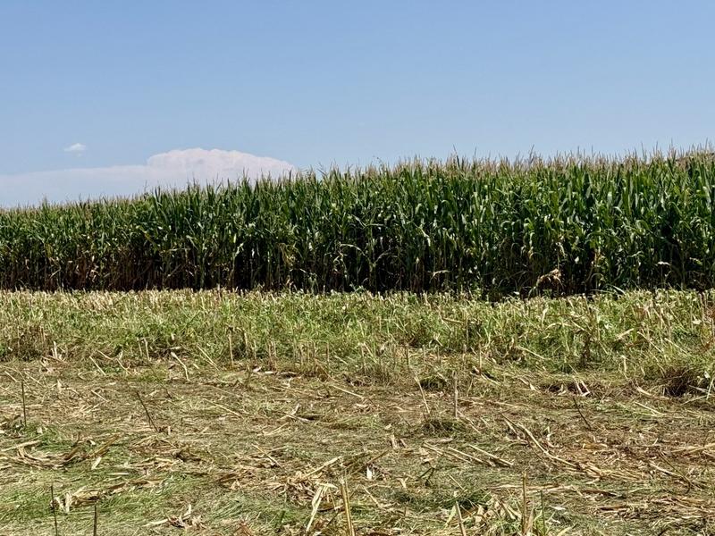 0 Bedroom Property for Sale in Newcastle Rural KwaZulu-Natal