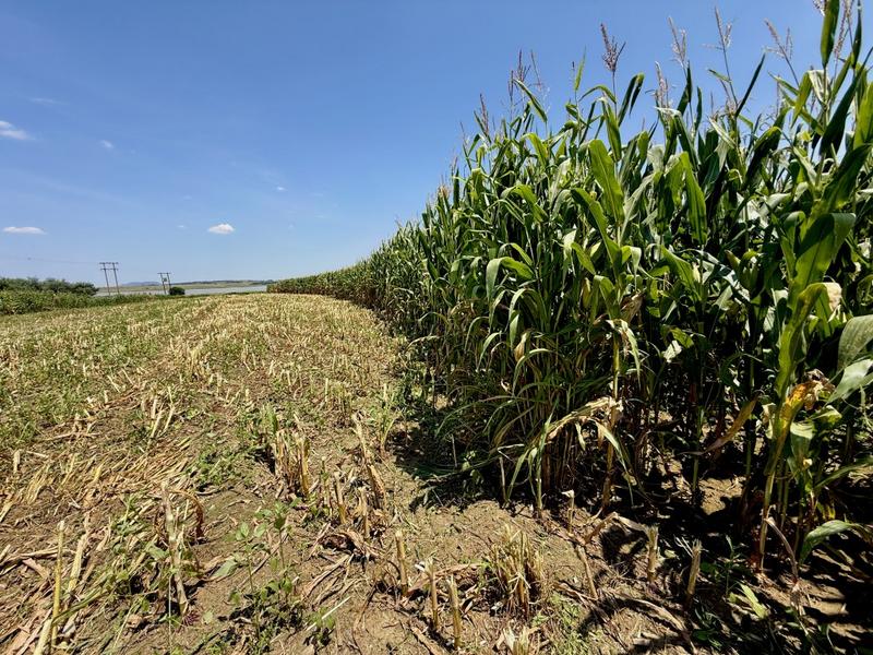 0 Bedroom Property for Sale in Newcastle Rural KwaZulu-Natal