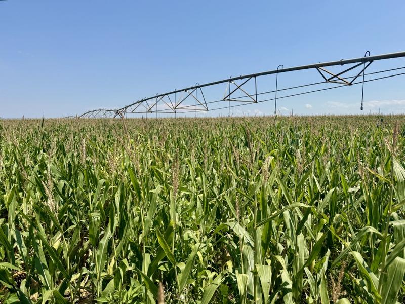 0 Bedroom Property for Sale in Newcastle Rural KwaZulu-Natal