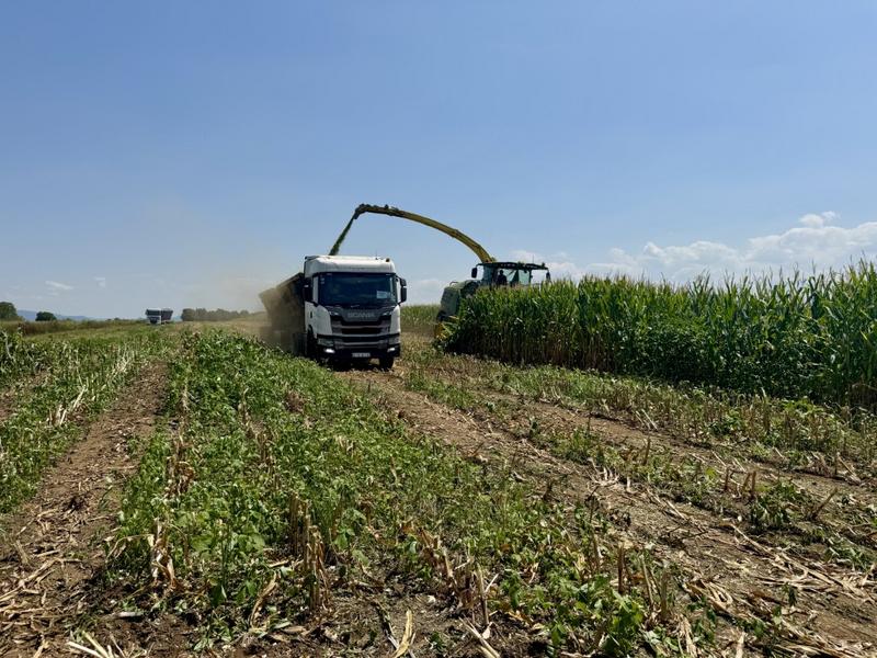 0 Bedroom Property for Sale in Newcastle Rural KwaZulu-Natal