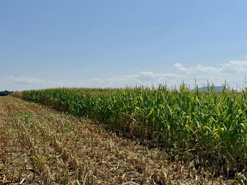 0 Bedroom Property for Sale in Newcastle Rural KwaZulu-Natal