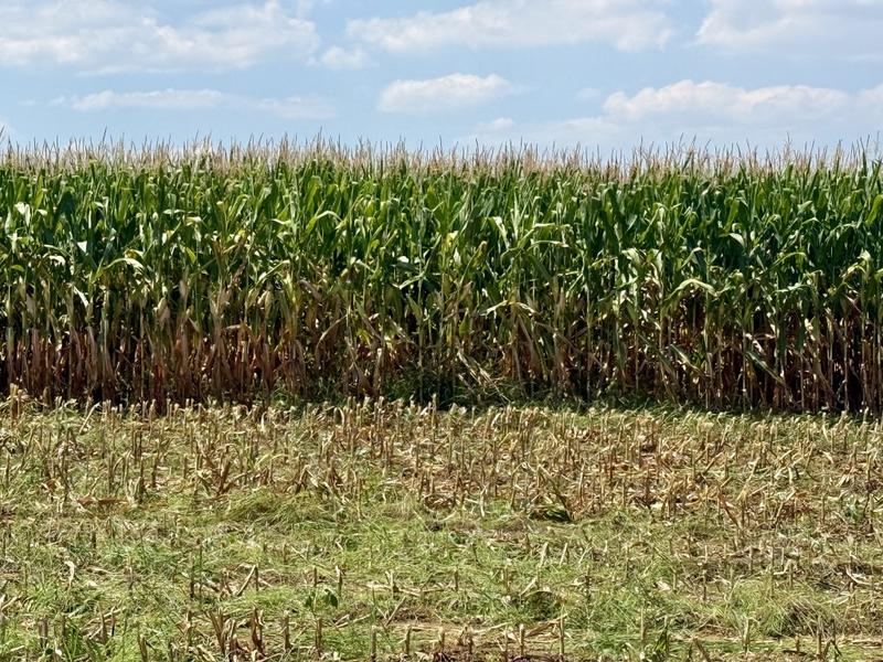 0 Bedroom Property for Sale in Newcastle Rural KwaZulu-Natal