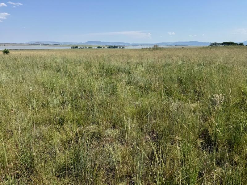 0 Bedroom Property for Sale in Newcastle Rural KwaZulu-Natal