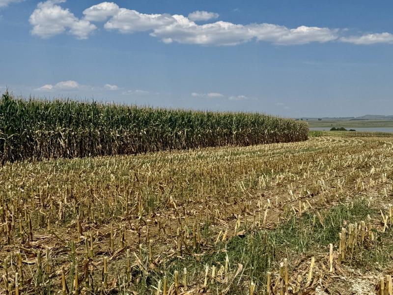 0 Bedroom Property for Sale in Newcastle Rural KwaZulu-Natal