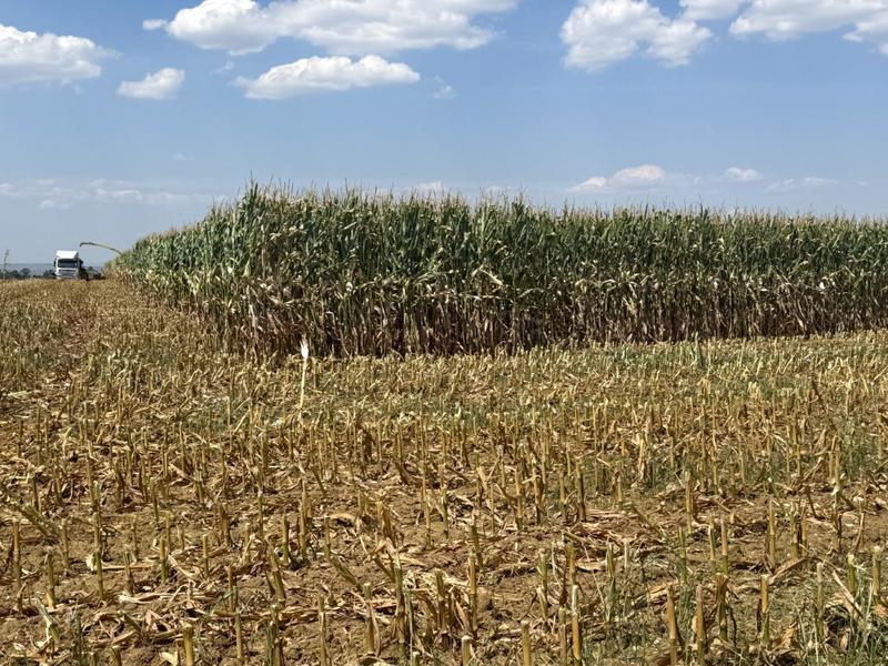 0 Bedroom Property for Sale in Newcastle Rural KwaZulu-Natal