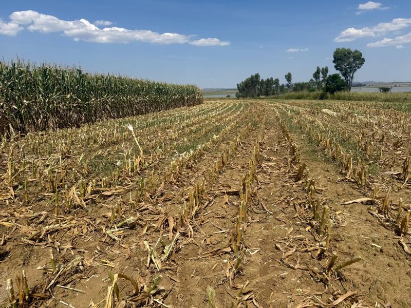 0 Bedroom Property for Sale in Newcastle Rural KwaZulu-Natal