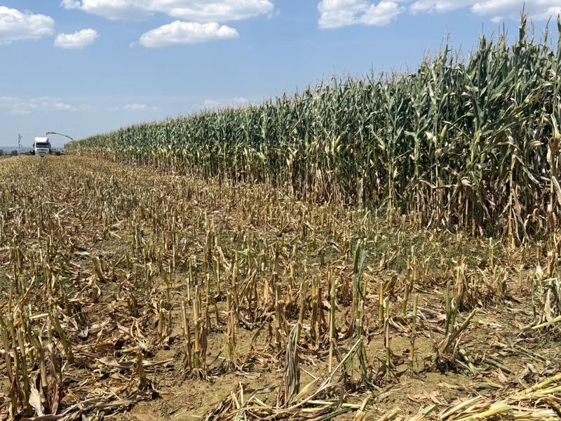 0 Bedroom Property for Sale in Newcastle Rural KwaZulu-Natal