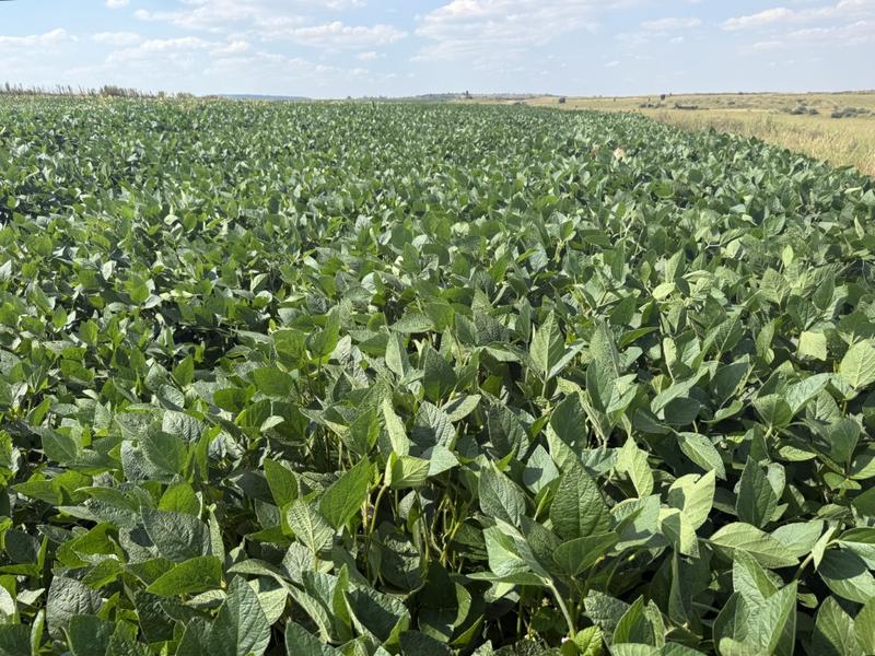 0 Bedroom Property for Sale in Newcastle Rural KwaZulu-Natal