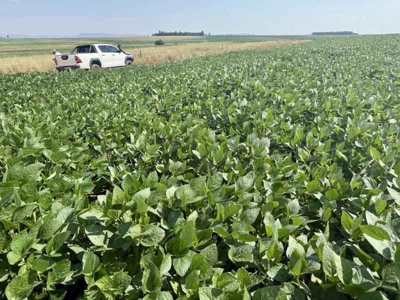 0 Bedroom Property for Sale in Newcastle Rural KwaZulu-Natal