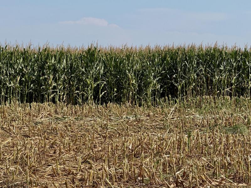 0 Bedroom Property for Sale in Newcastle Rural KwaZulu-Natal