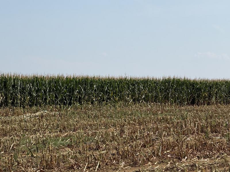 0 Bedroom Property for Sale in Newcastle Rural KwaZulu-Natal