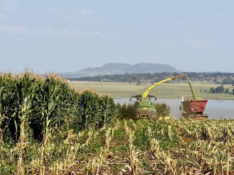 0 Bedroom Property for Sale in Newcastle Rural KwaZulu-Natal