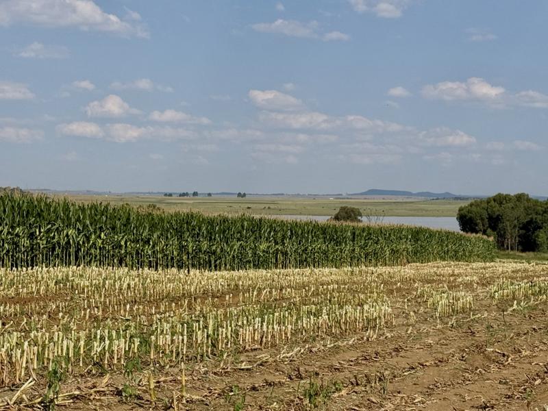 0 Bedroom Property for Sale in Newcastle Rural KwaZulu-Natal