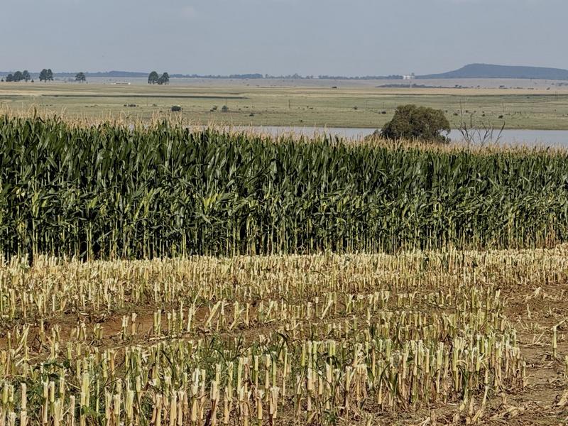 0 Bedroom Property for Sale in Newcastle Rural KwaZulu-Natal