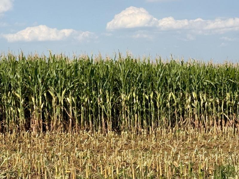 0 Bedroom Property for Sale in Newcastle Rural KwaZulu-Natal