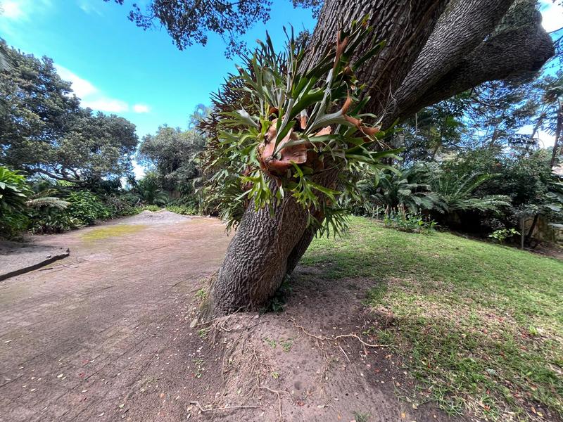 6 Bedroom Property for Sale in Southport KwaZulu-Natal