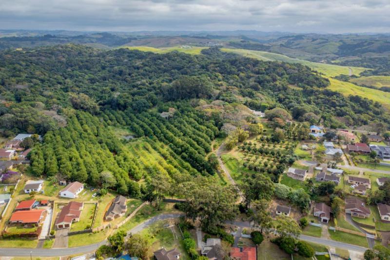 4 Bedroom Property for Sale in Melville KwaZulu-Natal