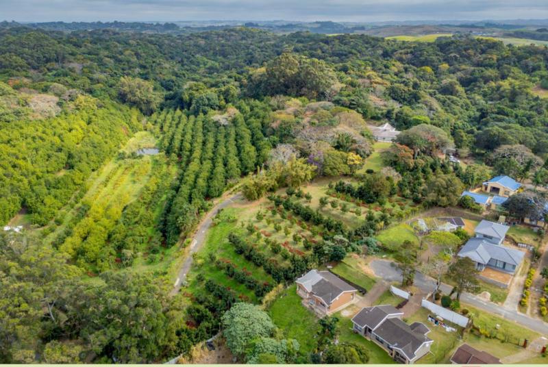 4 Bedroom Property for Sale in Melville KwaZulu-Natal