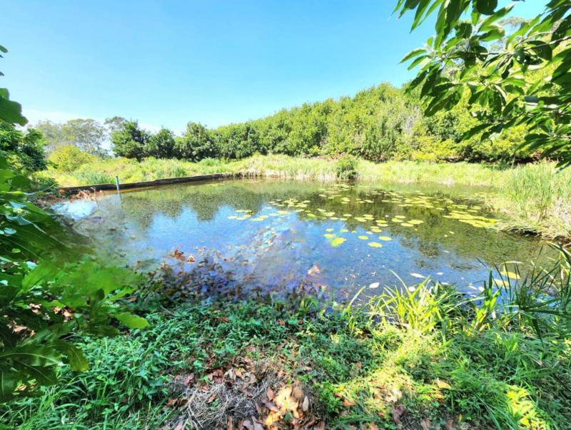 4 Bedroom Property for Sale in Melville KwaZulu-Natal