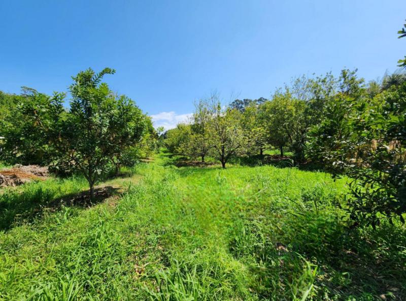 4 Bedroom Property for Sale in Melville KwaZulu-Natal