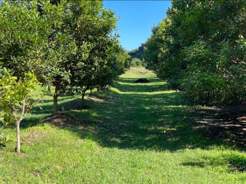 4 Bedroom Property for Sale in Melville KwaZulu-Natal