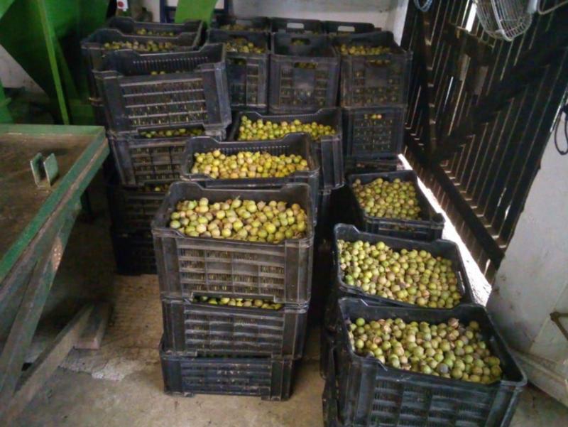 4 Bedroom Property for Sale in Melville KwaZulu-Natal