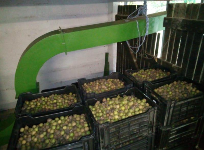 4 Bedroom Property for Sale in Melville KwaZulu-Natal