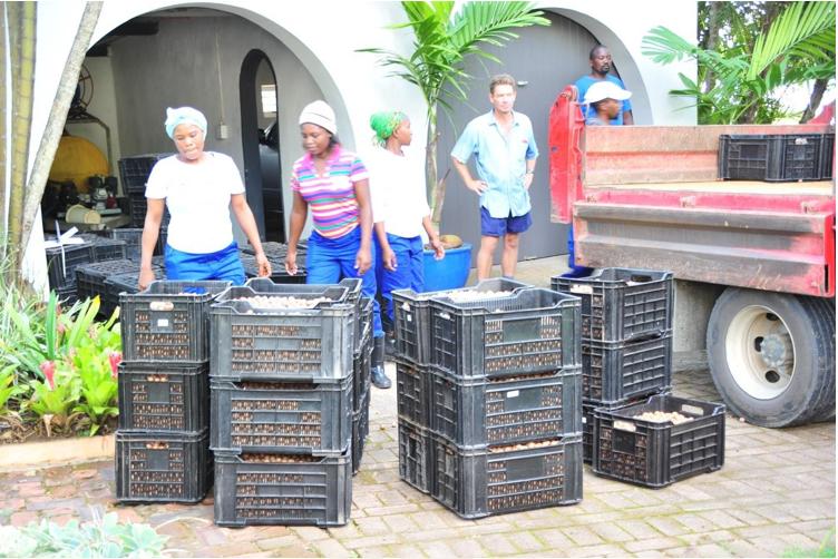 4 Bedroom Property for Sale in Melville KwaZulu-Natal