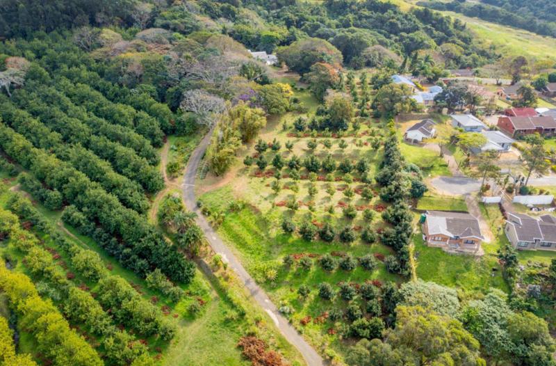 4 Bedroom Property for Sale in Melville KwaZulu-Natal