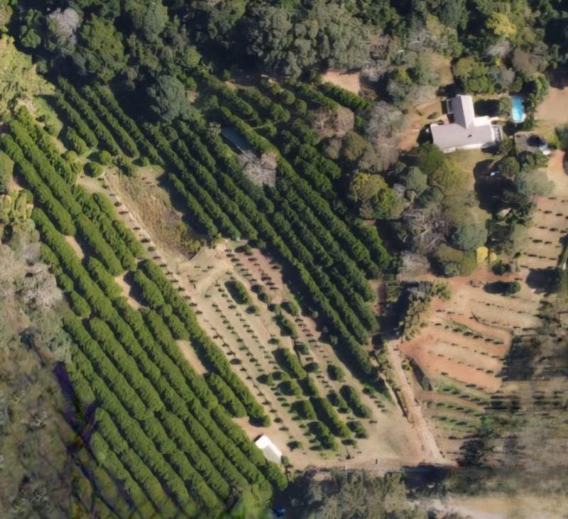 4 Bedroom Property for Sale in Melville KwaZulu-Natal