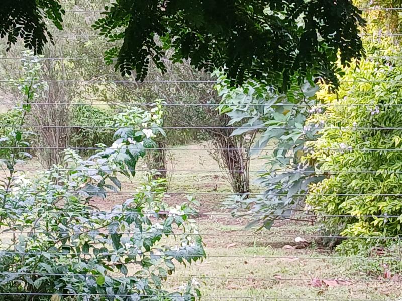 3 Bedroom Property for Sale in Assagay KwaZulu-Natal